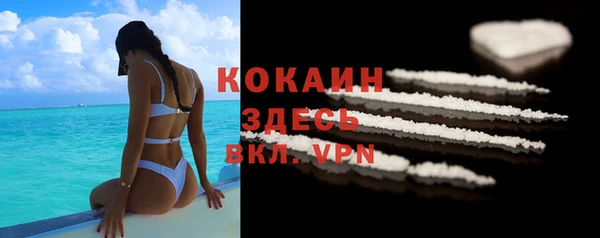 spice Алзамай