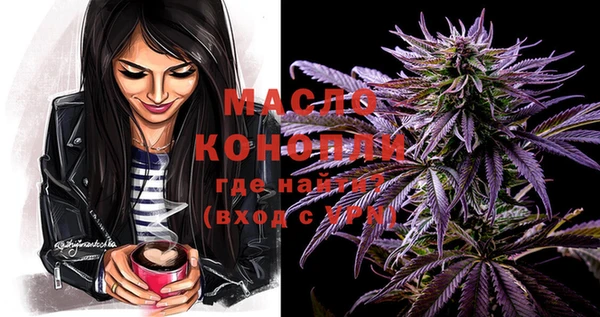 индика Ростов