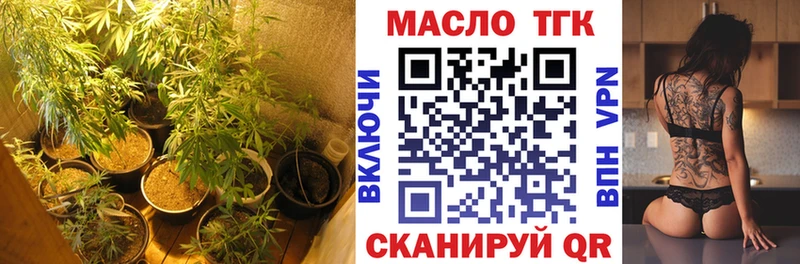 дарнет шоп  Чегем  ТГК концентрат 